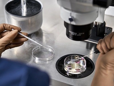 Technician handling egg vs embryo freezing samples