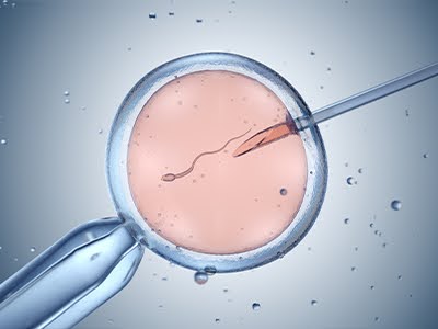 Artificial insemination or in vitro fertilization process